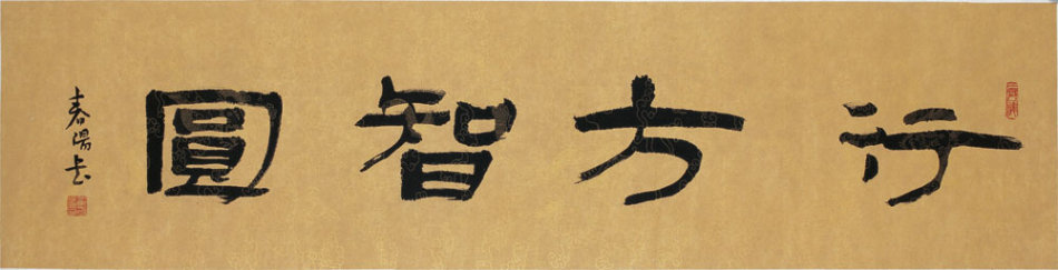  鷨