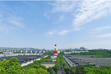 诗书画,金银铜奖