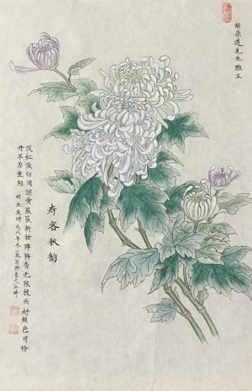ϲ-2019͡顱ʮĽ챱Ĳչ