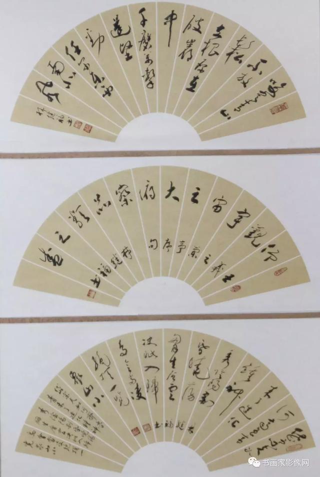鷨̸ּӦμ2019͡顱ʮĽ챱Ĳ