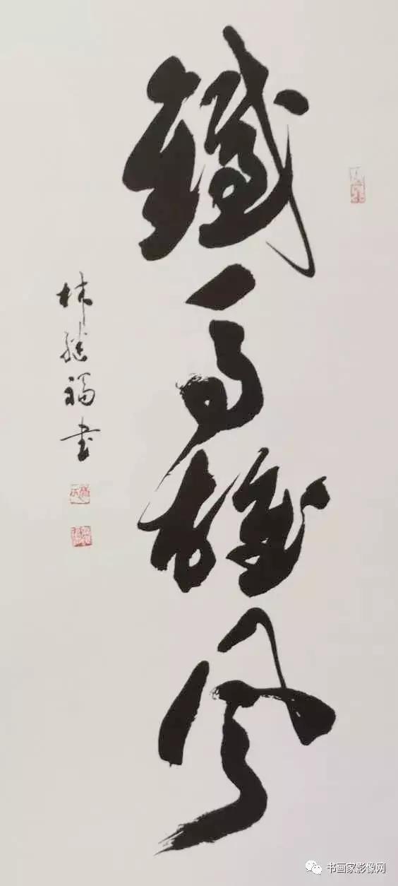 鷨̸ּӦμ2019͡顱ʮĽ챱Ĳ